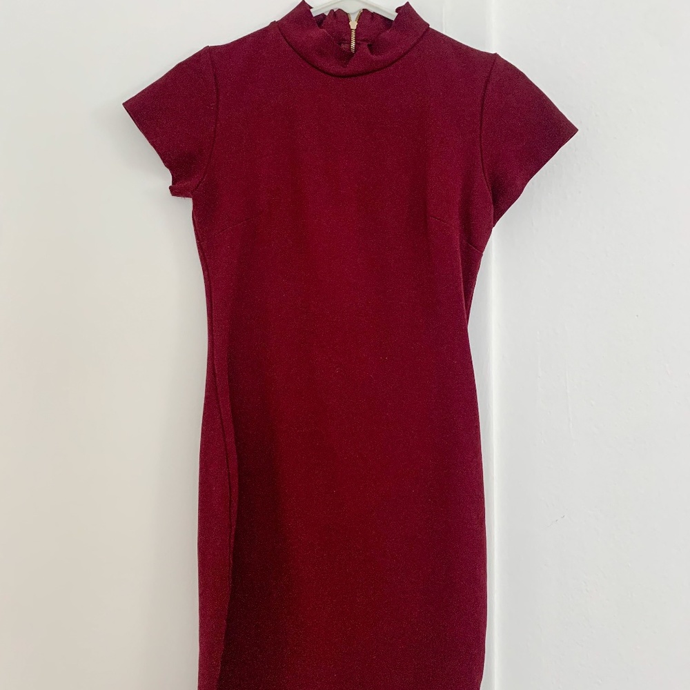 Maroon Dress